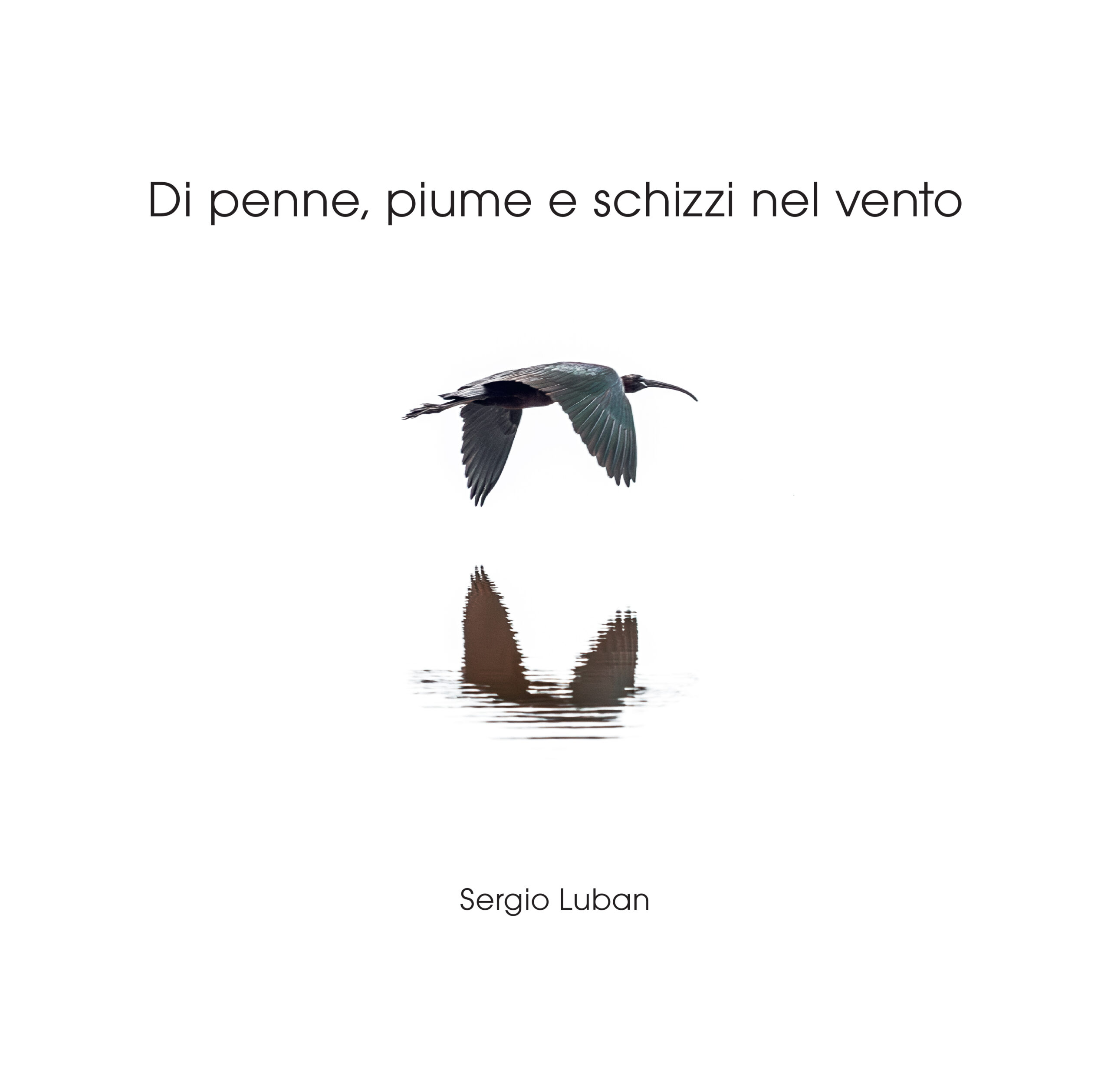 di penne