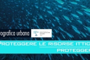 ESPOSIZIONE FOTOGRAFICA URBANA: si sposta a Giubiasco